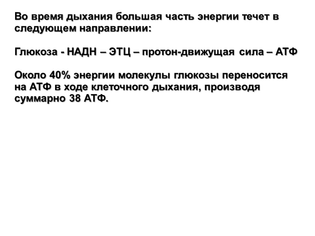 Во время дыхания большая часть энергии течет в следующем направлении: Глюкоза - НAДH –